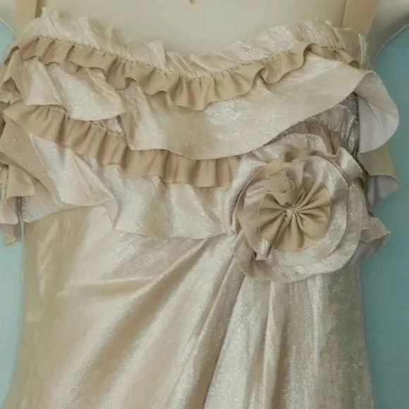 Boston Proper Rose Gold Shimmer Metallic Ruffle Sweetheart Neckline Dress Size 2 - Picture 7 of 7